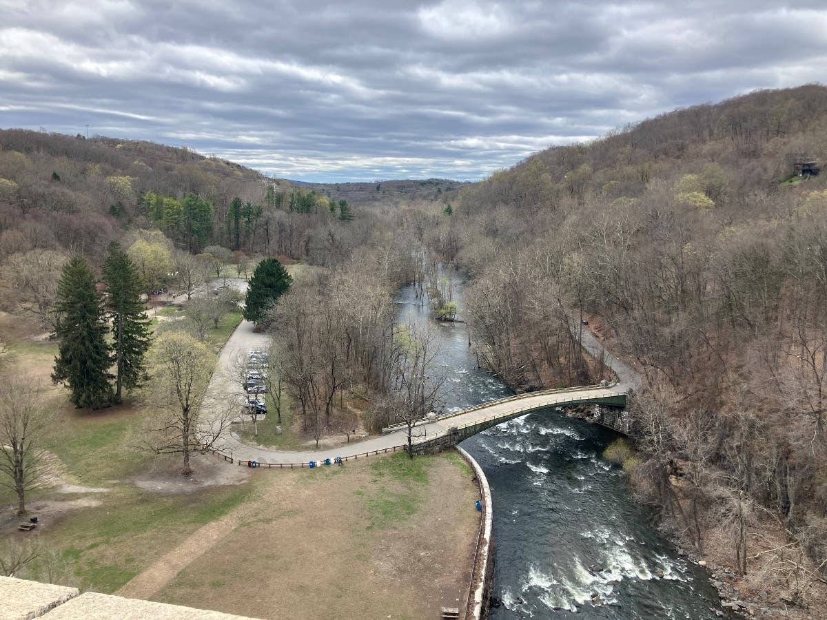 Health officials issue bird flu update after sick birds found in Westchester County