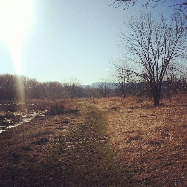 Screening of ‘Bird Sanctuary’ in New Paltz on April 19
